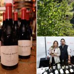 Another California wine giant shuts site and axes staff as chaos rips across Napa Valley